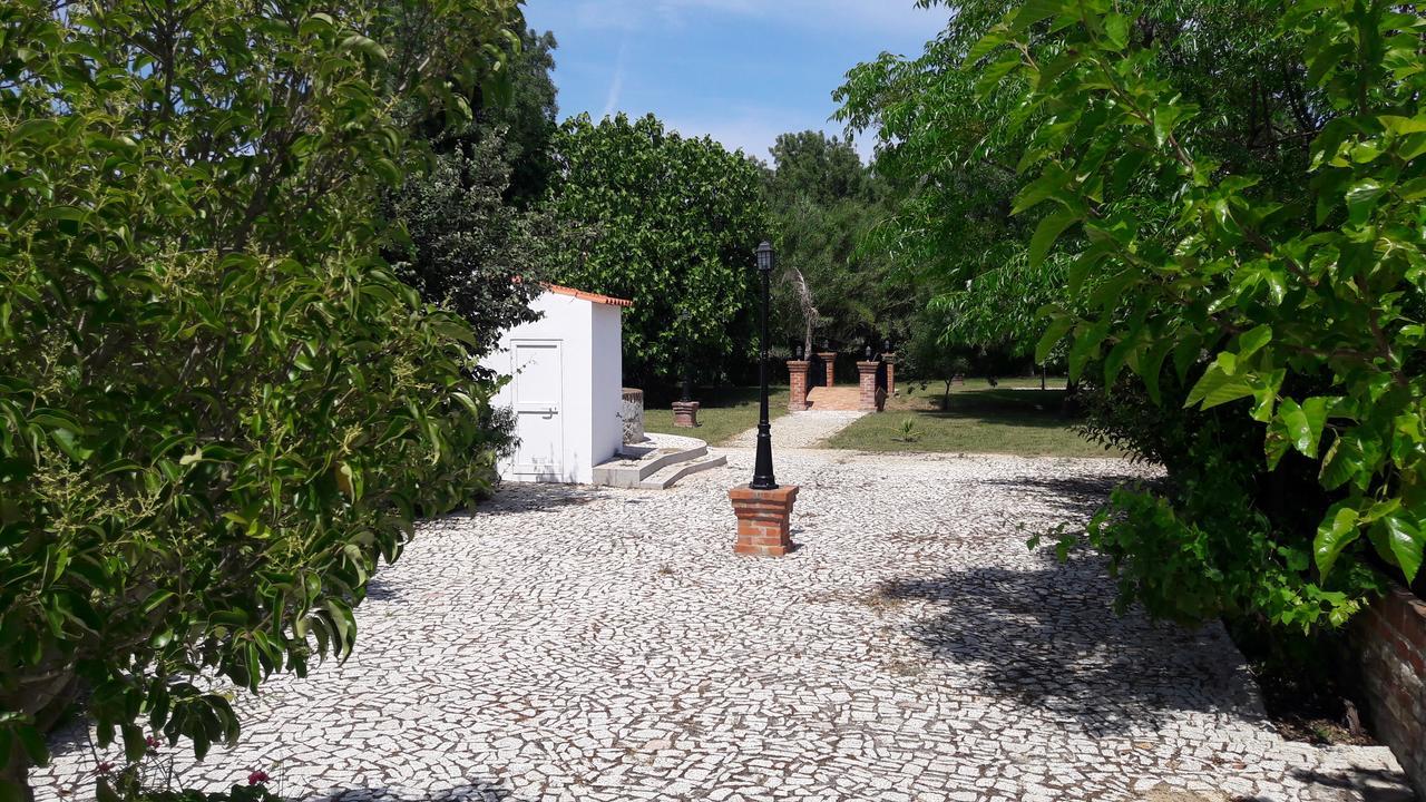 Quinta Da Abrunheira Daire Vimieiro  Dış mekan fotoğraf
