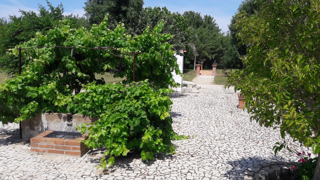 Quinta Da Abrunheira Daire Vimieiro  Dış mekan fotoğraf