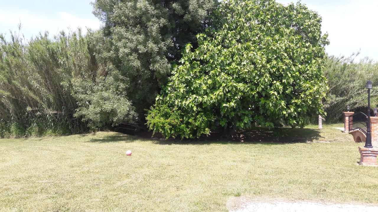 Quinta Da Abrunheira Daire Vimieiro  Dış mekan fotoğraf